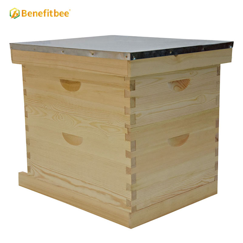 Colmena de apicultura OEM fábrica Langstroth colmena de abejas de madera para apicultura