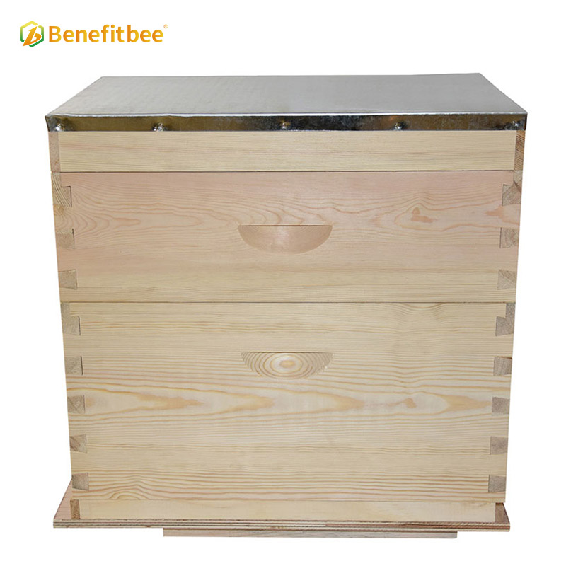 Herramientas de apicultura, kit de caja de colmena de estilo australiano, colmena de abejas