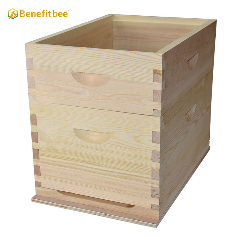 Herramientas de apicultura, kit de caja de colmena de estilo australiano, colmena de abejas