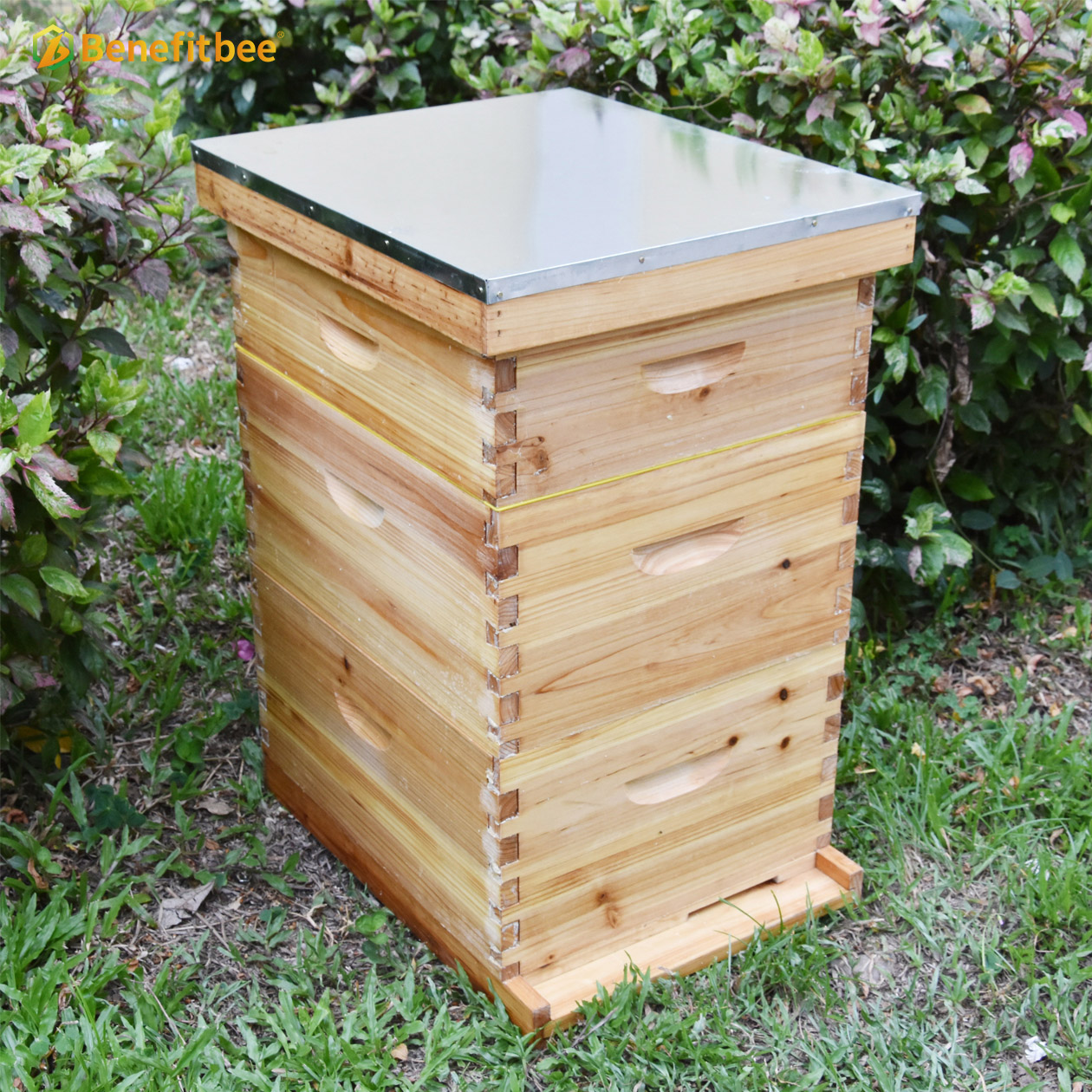 Benefitbee Langstroth Beehive Kit colmenas de abejas kit de colmena de abejas con 10 marcos