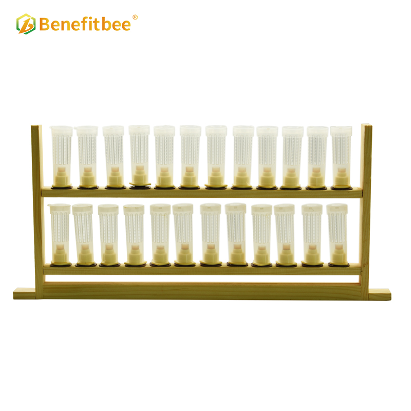 Beekeeping queen bee rearing frame