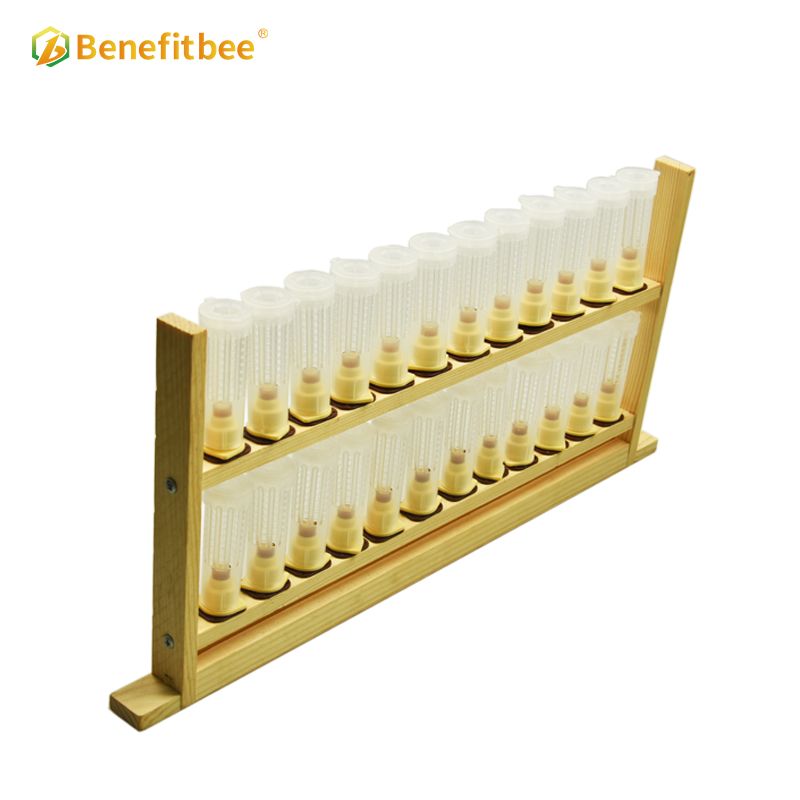 Beekeeping queen bee rearing frame