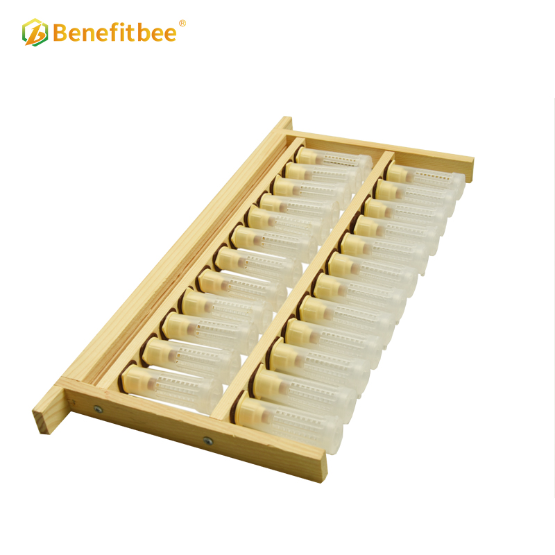Beekeeping queen bee rearing frame