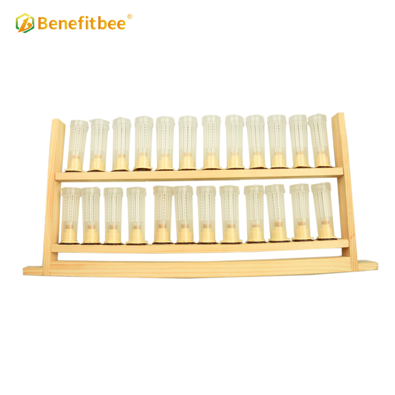 Beekeeping queen bee rearing frame