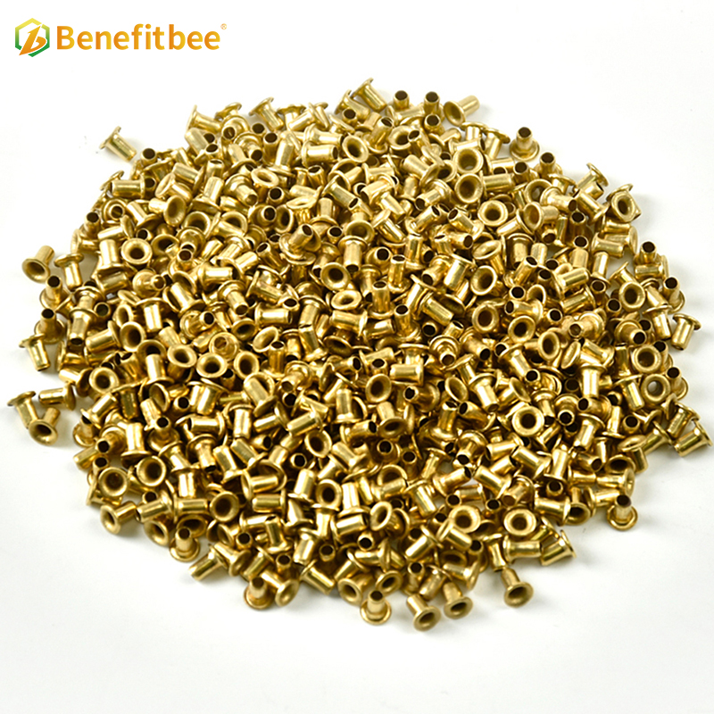 Factory Price Beekeeping Tool Bee Frame Pure Copper Eyelets/Brass Plated Brass Eyelets