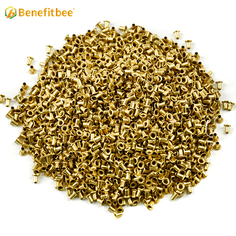 Customized Beehive Tools Copper Bee Frame Eyelet For Beekeeping Supplies