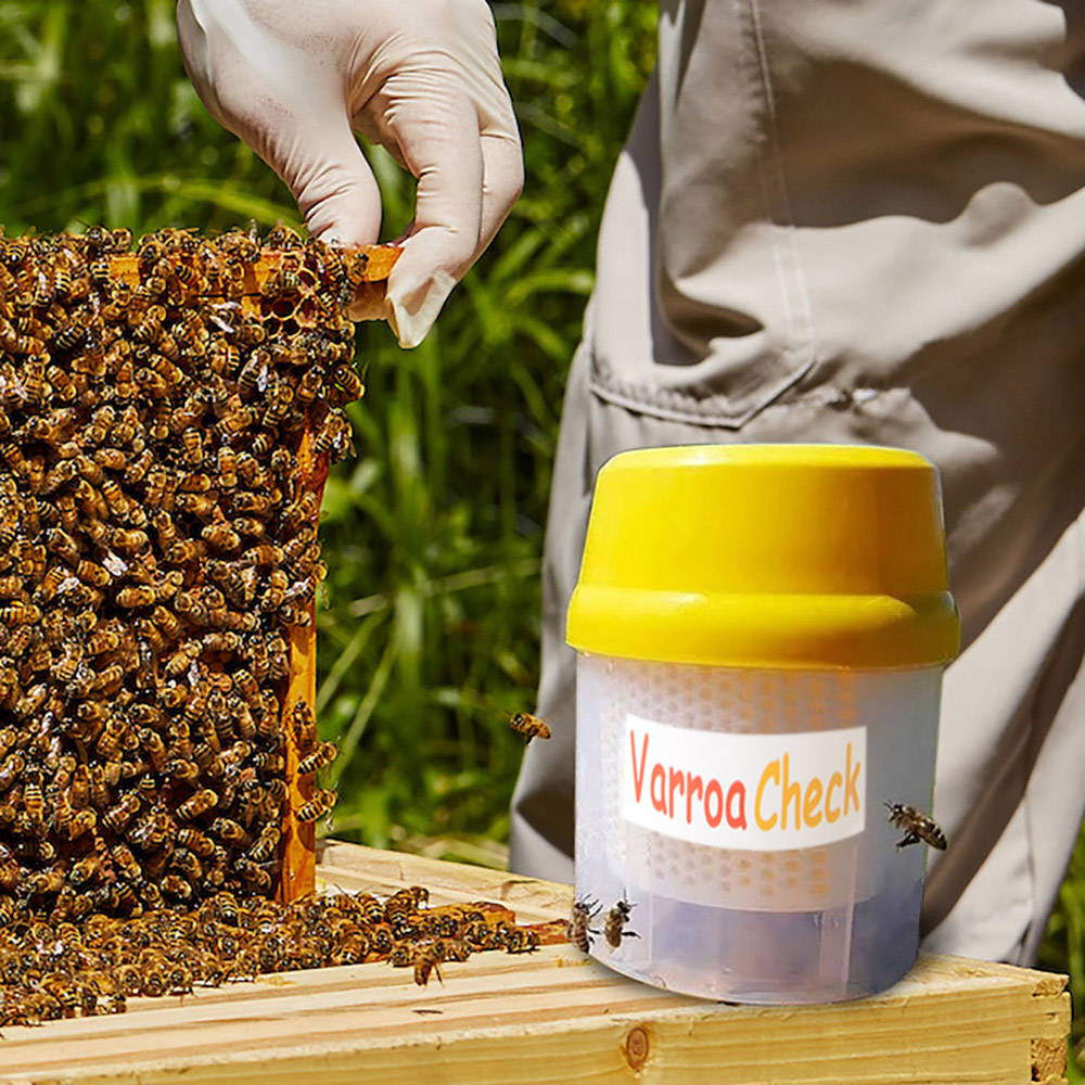 Equipo de apicultura, monitor de control de infestación de varroa, herramientas de apicultura
