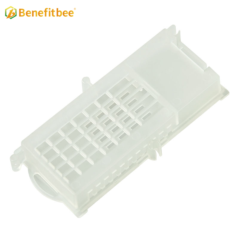 Benefitbee Hot Sale bee rearing tools Plastic Queen Cage Queen bee cage for beekeeping tools