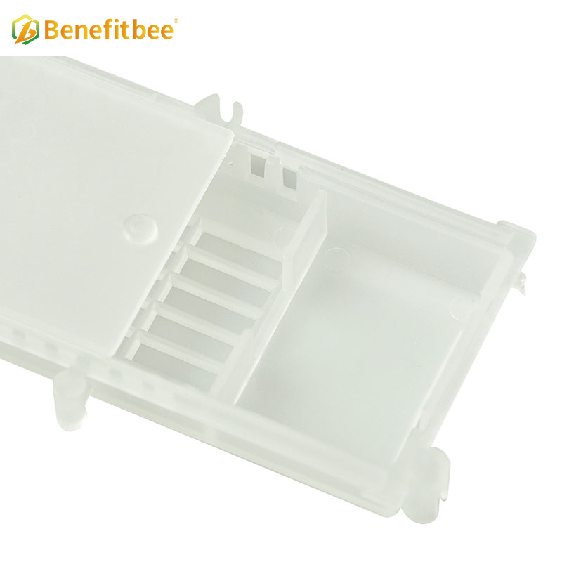 Benefitbee Hot Sale bee rearing tools Plastic Queen Cage Queen bee cage for beekeeping tools