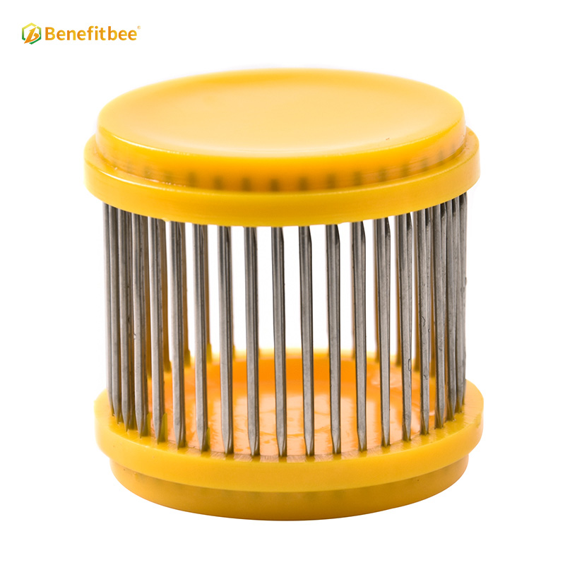 bee queen cage