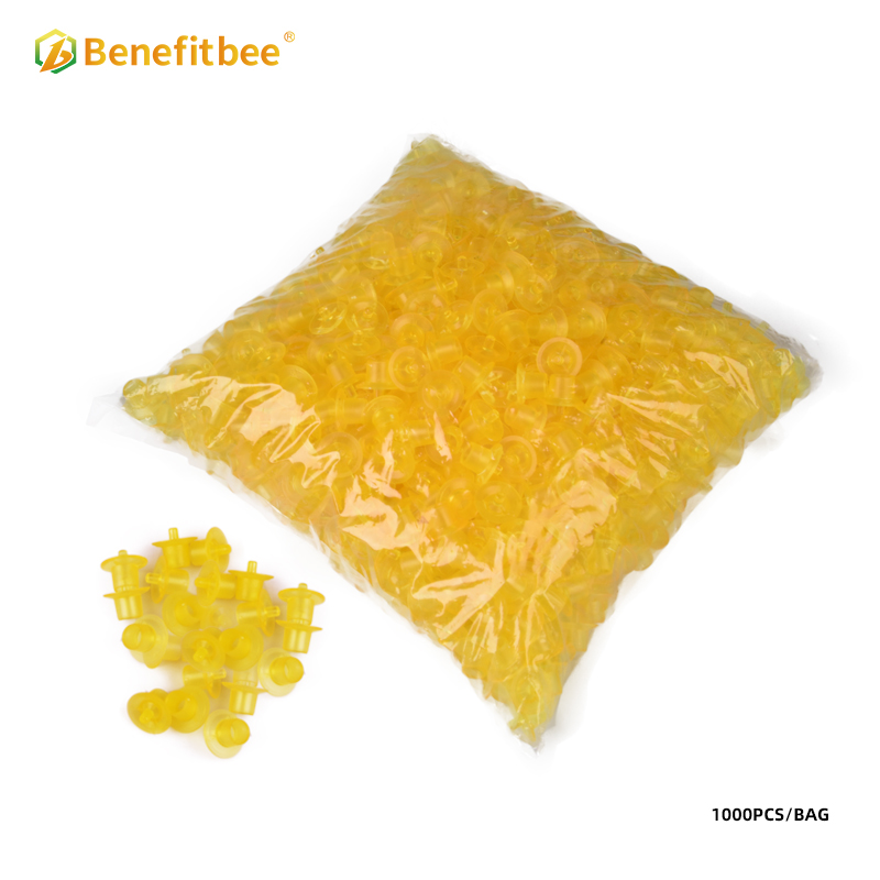 Plastic Queen Base Mount Cell Cup Beekeeping Tools Plastic Base Mount Cell Cups For Queen Rearing QB04-7