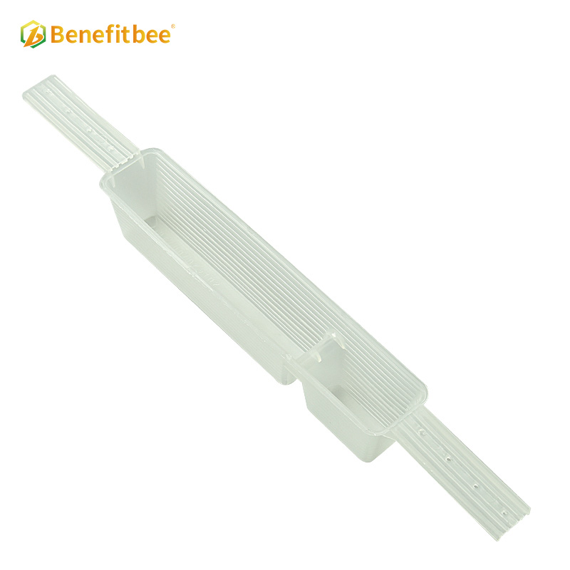 Beehive inside plastic bee feeder for beekeeping