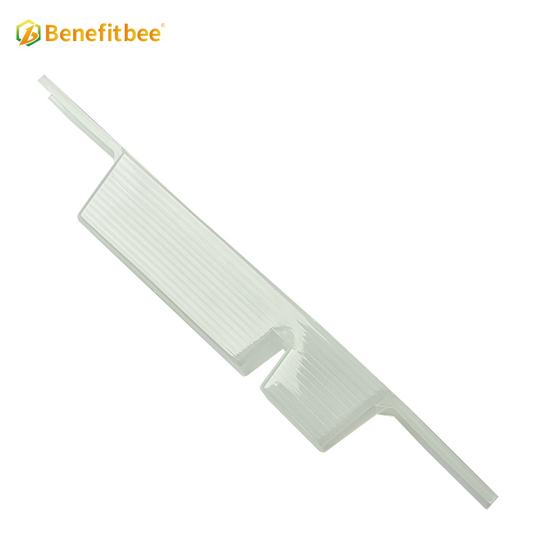 Beehive inside plastic bee feeder for beekeeping