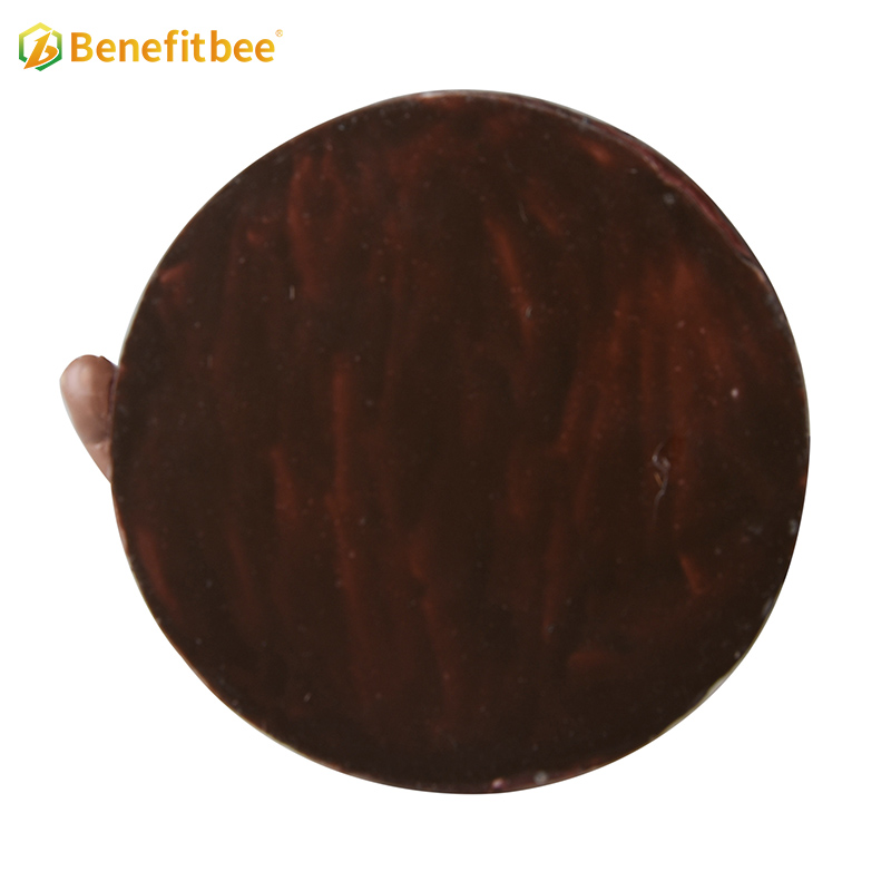 Beekeeping Craftwork 3D Bee Resin Craftwork for Sell