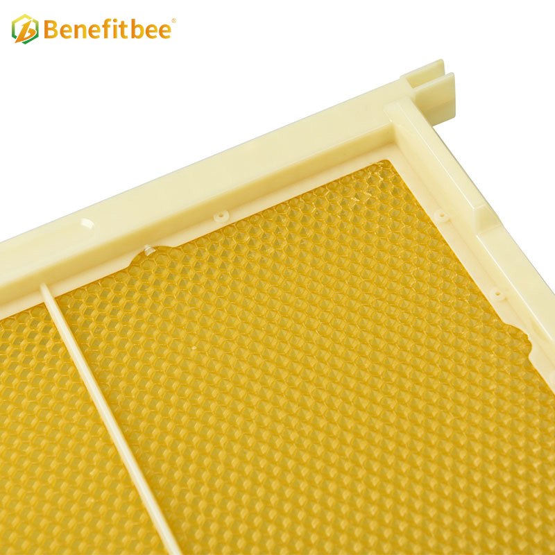 Marcos de colmena de abejas con marco de plástico desmontable más nuevos para agricultura