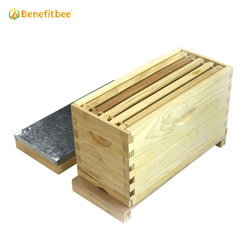 Beekeeping manufacturers bee wooden Nuc box beehive for sale