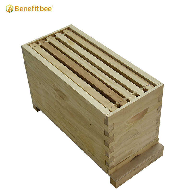 Beekeeping manufacturers bee wooden Nuc box beehive for sale