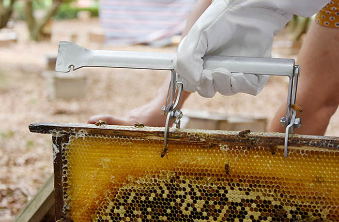 Beekeeping knowledge and technology