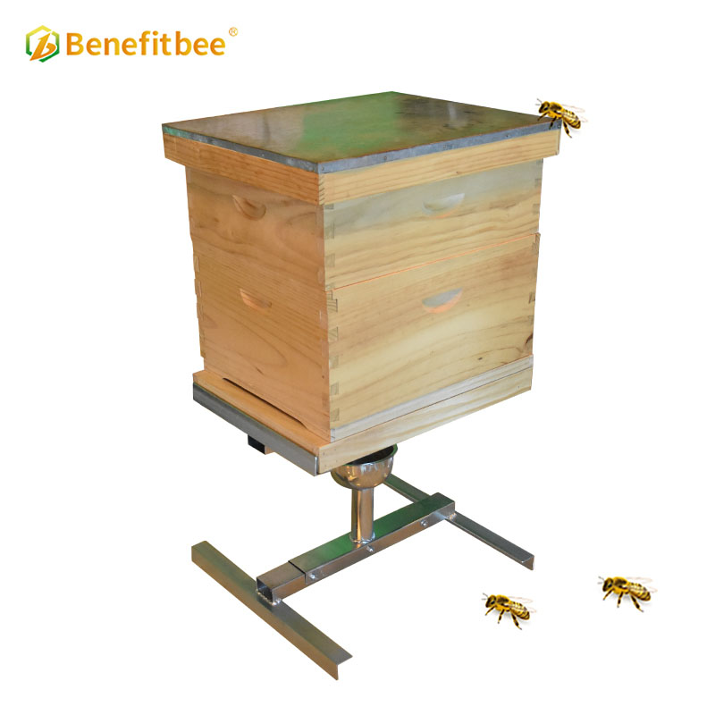 Benefitbee, accesorios de soporte para colmena, soporte antihormigas para apicultura