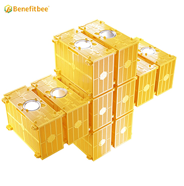 Bee cage transport cage