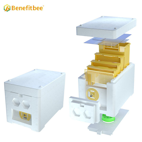 Queen bee mini beehive box