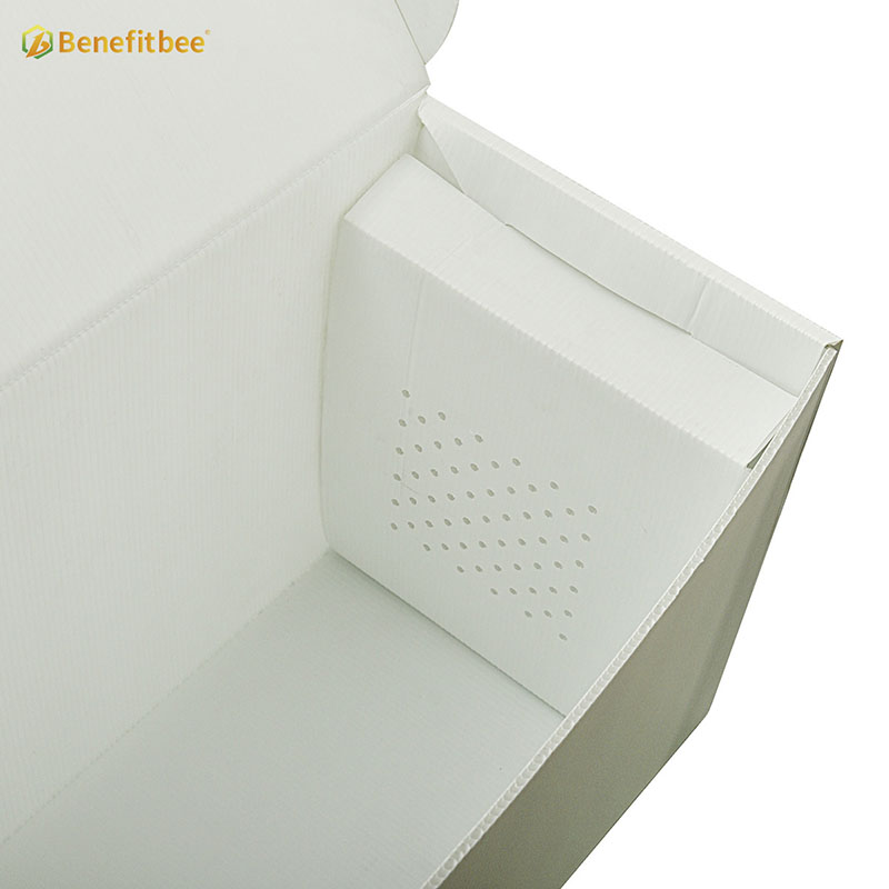 Beekeeping Supplies Bee beekeeping nuc box beehive plastic bee hive box