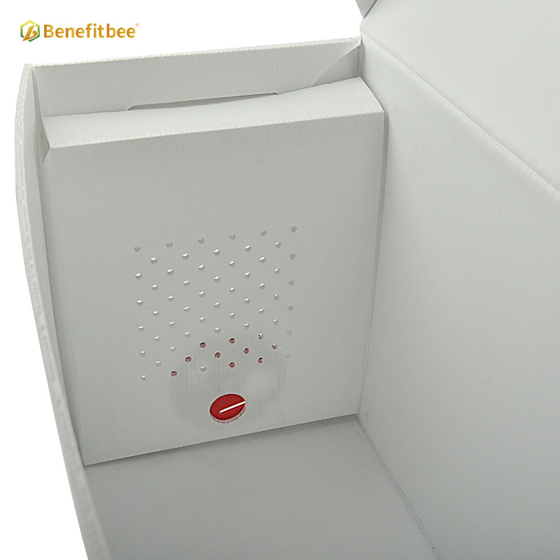 Beekeeping Supplies Bee beekeeping nuc box beehive plastic bee hive box