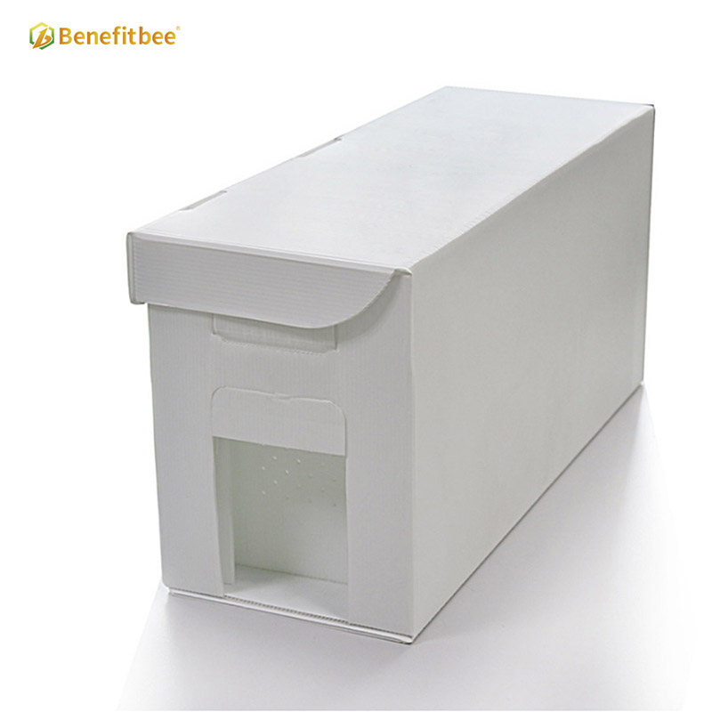 Beekeeping Supplies Bee beekeeping nuc box beehive plastic bee hive box