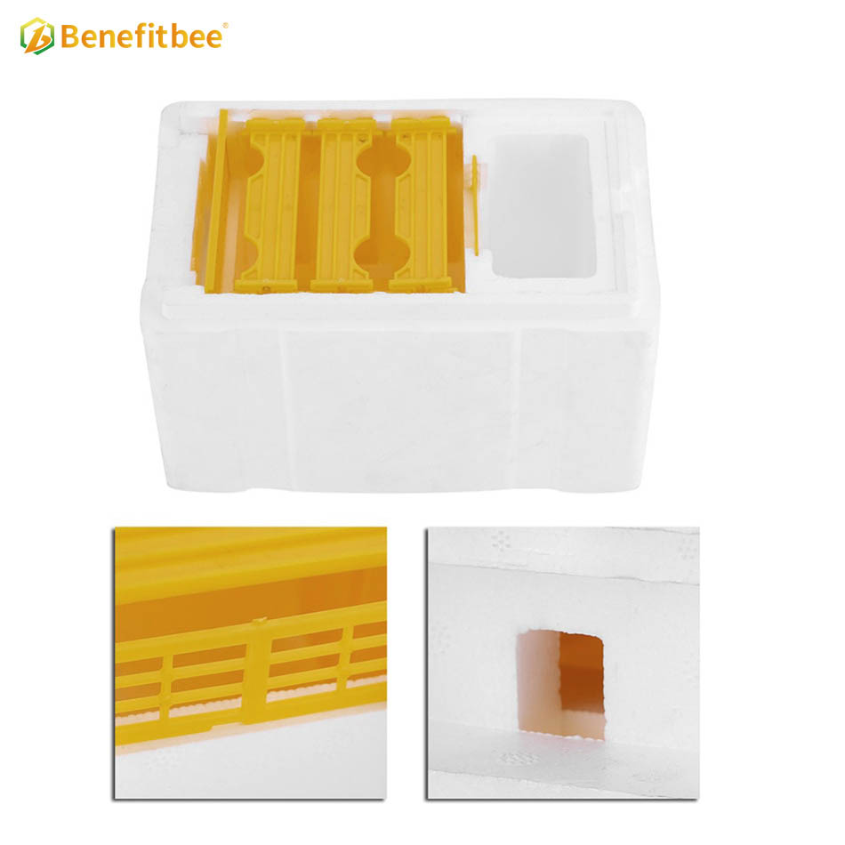 Herramientas de apicultura caja de apareamiento caja de cría de abejas caja nuc colmena de abejas