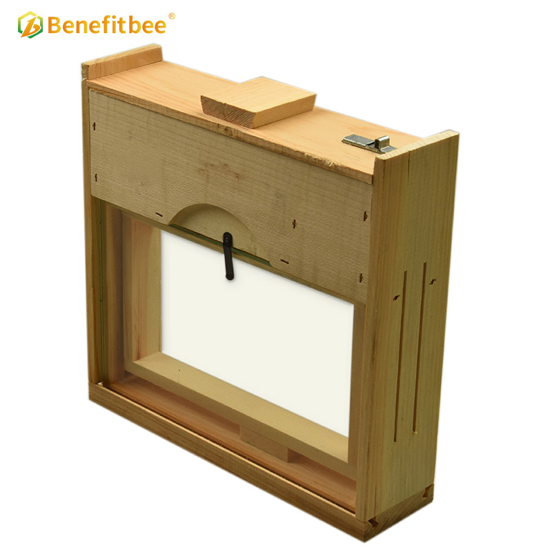 Observation beehive wooden beehive beekeeping transparent bee hive