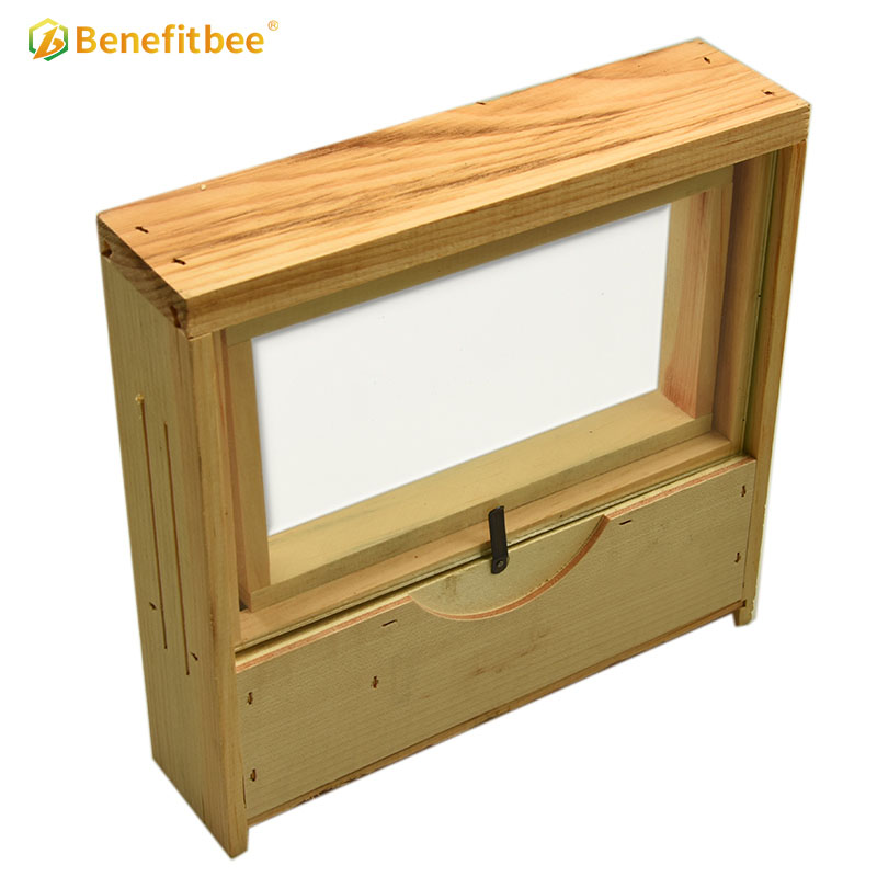 Observation beehive wooden beehive beekeeping transparent bee hive