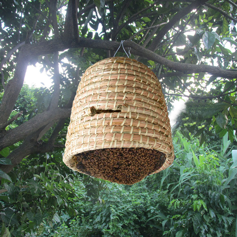 Beekeeping tools skep straw beehive queen bee cage
