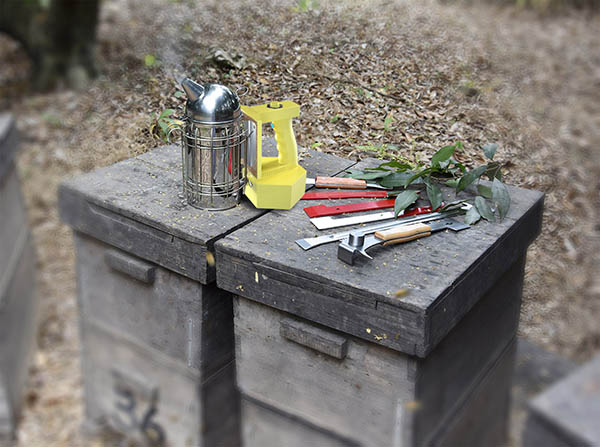 Bee beekeeping tools