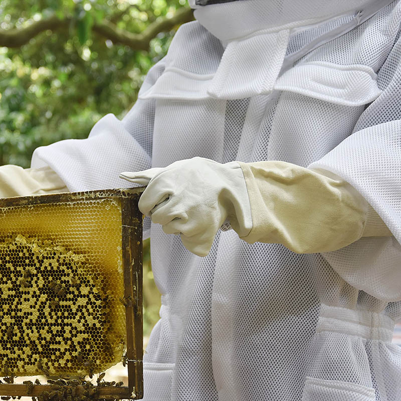 Made in China 100% sheepskin beekeeping gloves for beekeeping