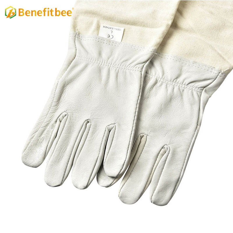 Equipo de apicultura, apicultor de lona blanca, utiliza guantes protectores para profesionales