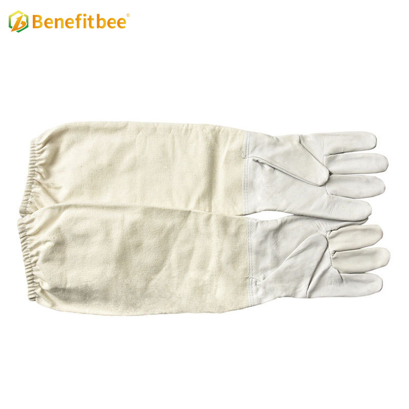 Beekeeping equitment white canvas beekeeper use protective gloves for professional