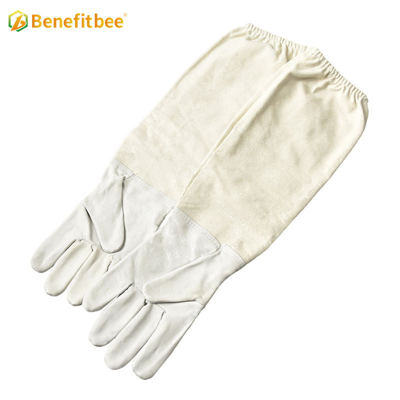 Beekeeping equitment white canvas beekeeper use protective gloves for professional