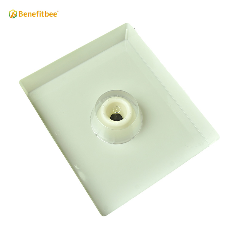 bee top feeder
