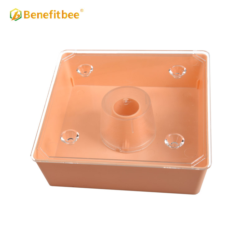 Benefitbee Beehive Plastic Bee Feeder Beekeeping bee hive top feeder