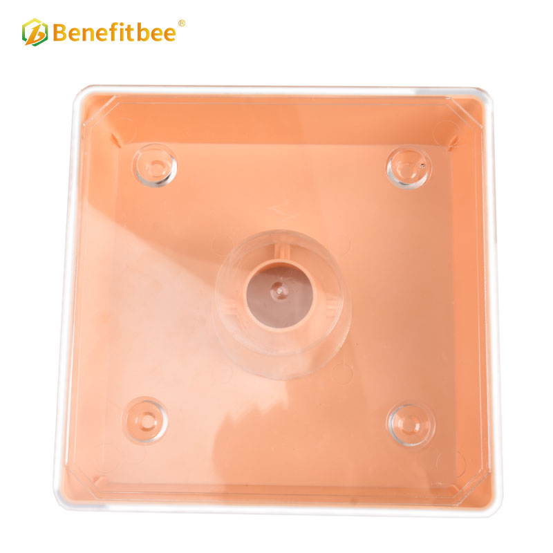 Benefitbee Beehive Plastic Bee Feeder Beekeeping bee hive top feeder