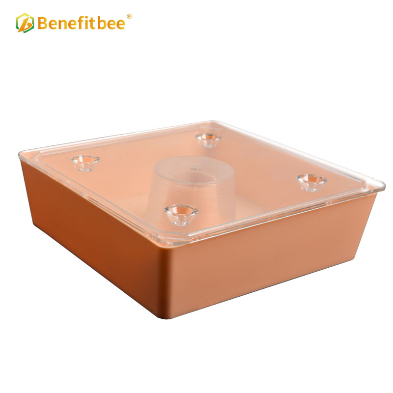 Benefitbee Beehive Plastic Bee Feeder Beekeeping bee hive top feeder