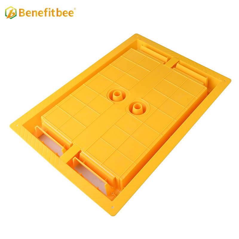 Australian Top feeder Benefitbee Bee Feeder