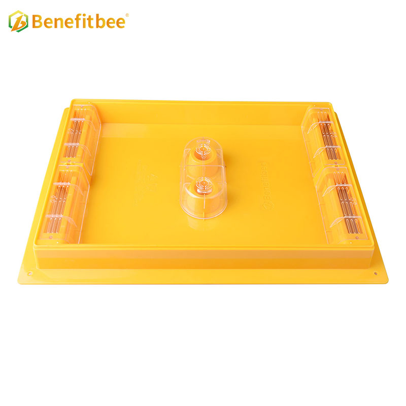 Australian Top feeder Benefitbee Bee Feeder