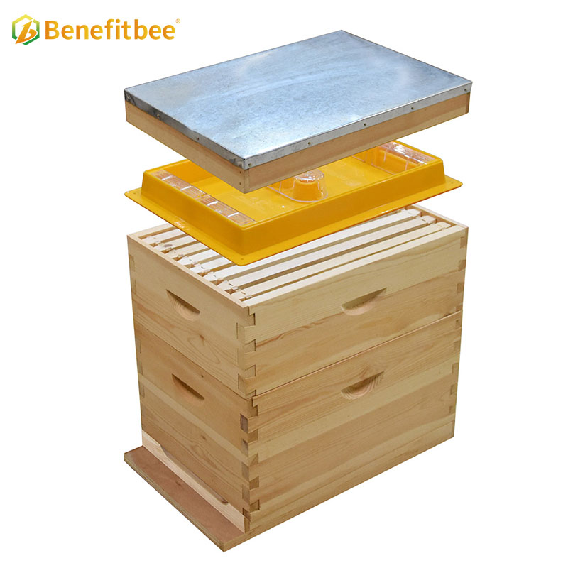 Australian Top feeder Benefitbee Bee Feeder