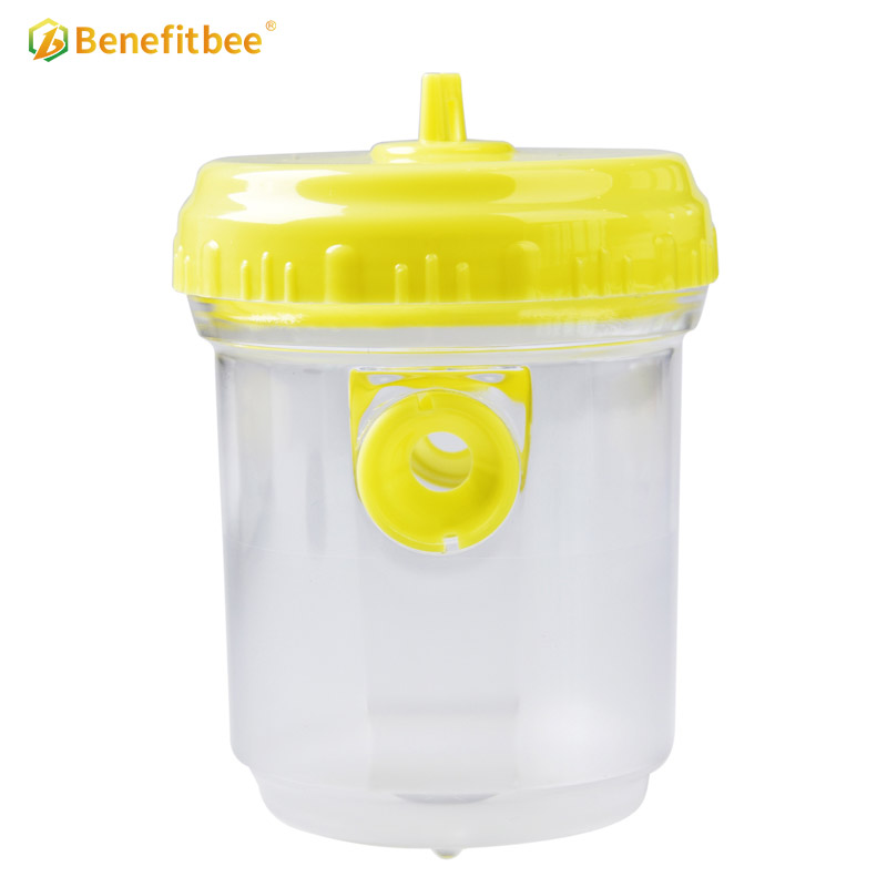 Plastic queen bee cage cather round yellow wasp catcher for hornet trap
