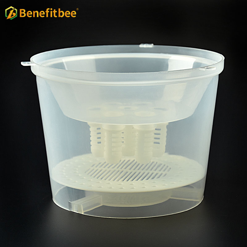 Plastic queen bee cage cather professional extra large wasp catcher trap for beekeeping