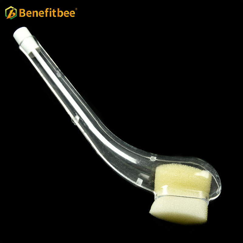 Hot sale beekeeping accessories plastic with sponge queen bee catcher
