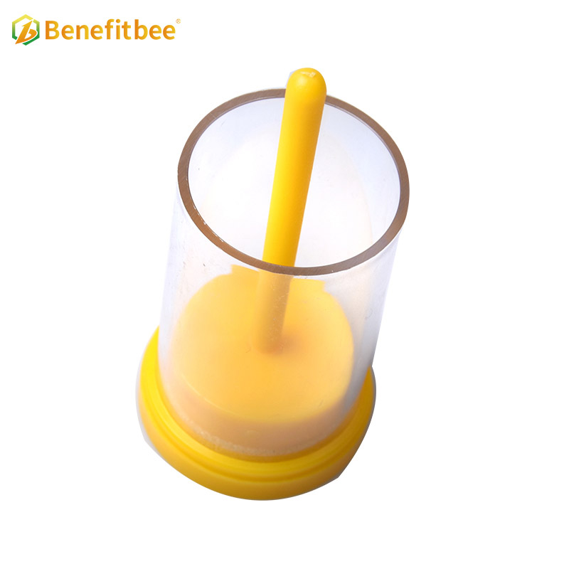 Good quality beekeeping equipment queen bee marker bottle
