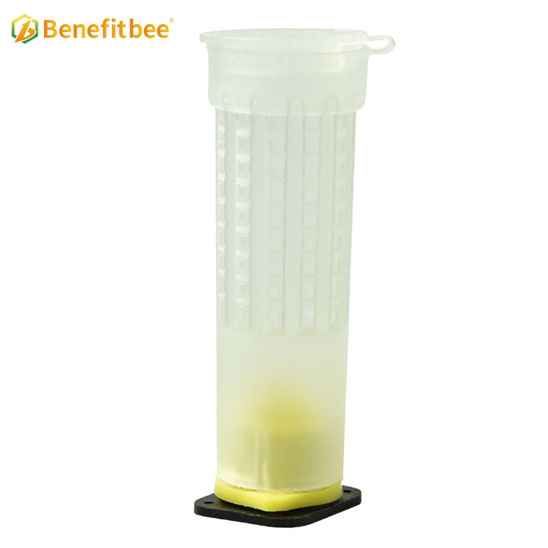 Benefitbee materiel apiculture tools bee queen marker bottle queen bottle