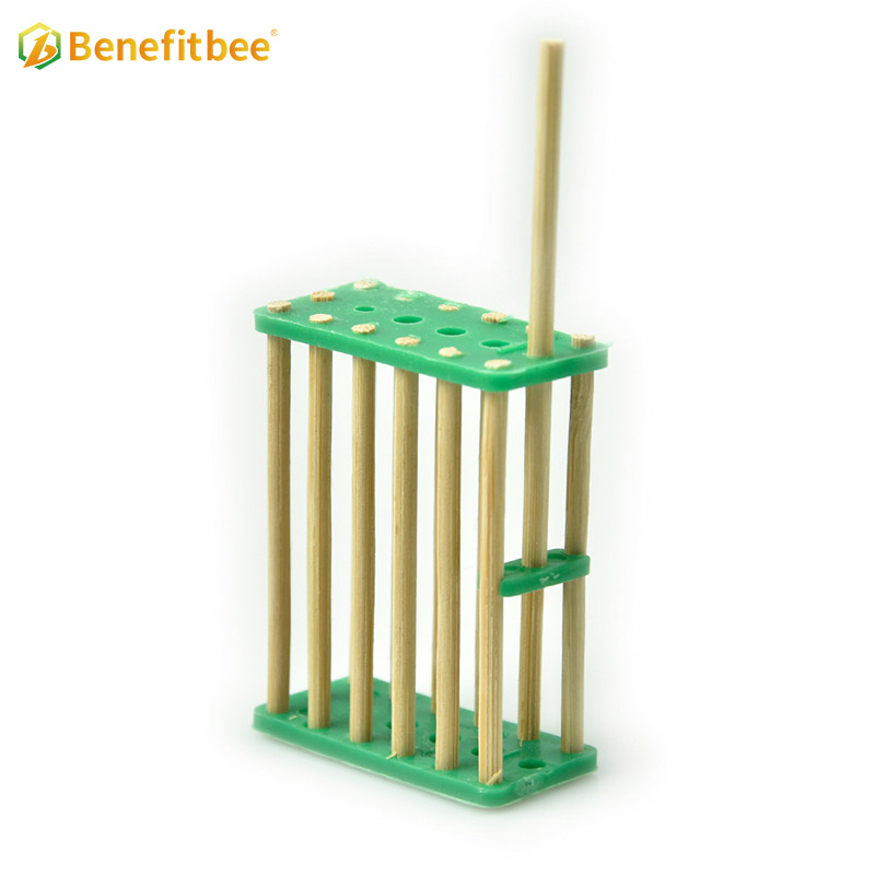 Jaula de abejas de bambú Jaula de reina de madera para apicultor